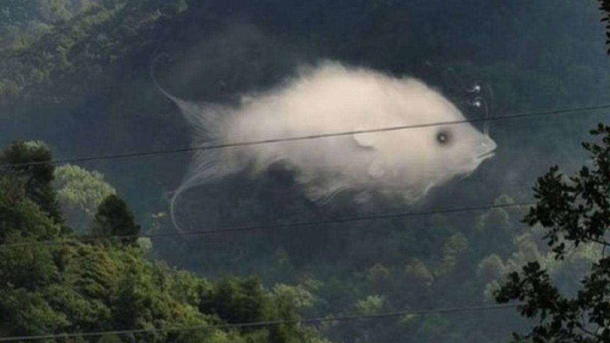 Co widzisz na tym obrazku? 