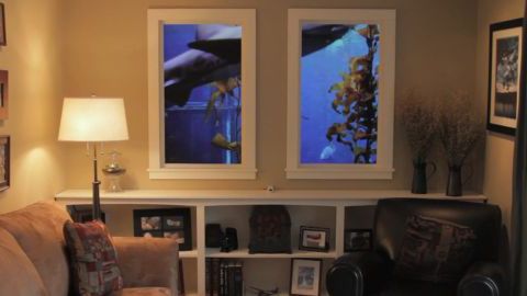 Magiczne okno Winscape [wideo] 1