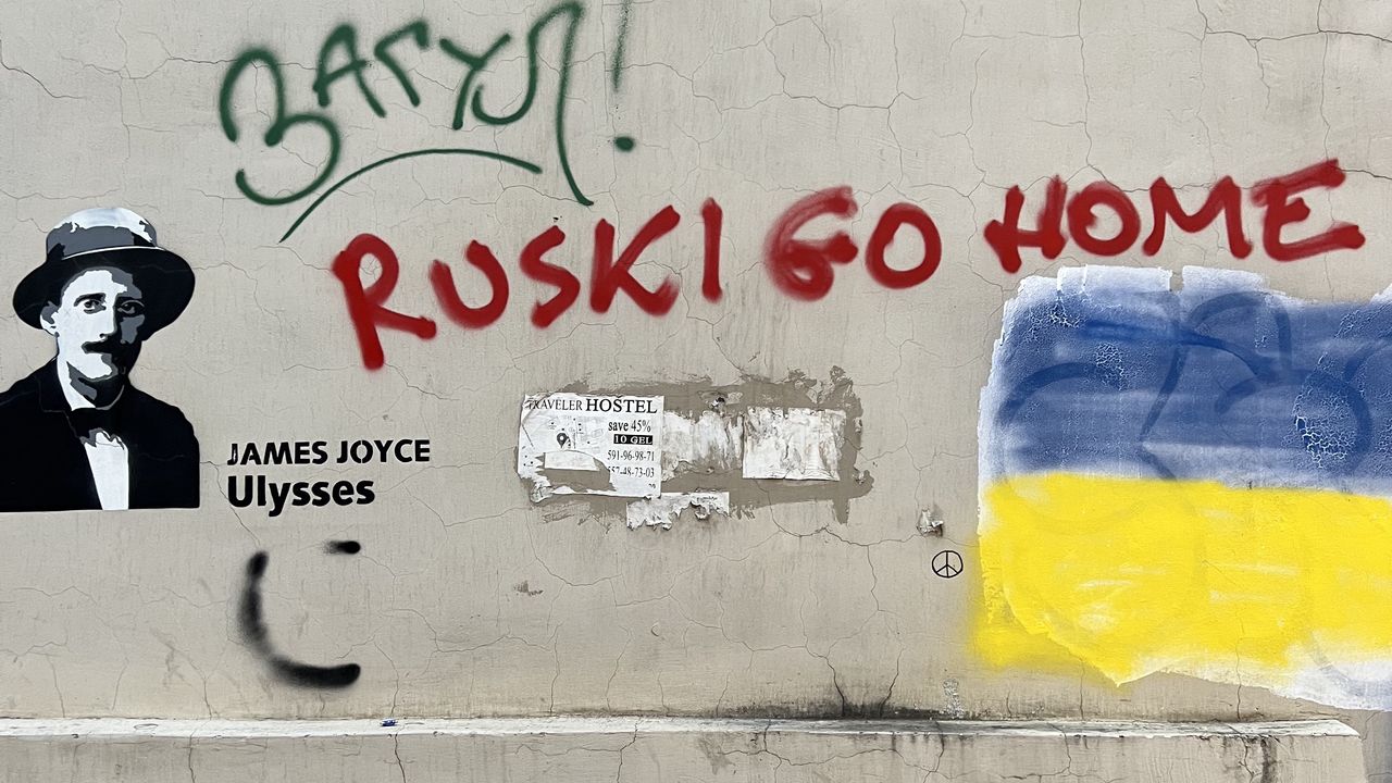 Gruzja podzielona. "Ruski go home" czy "Rosjo, przygarnij nas"