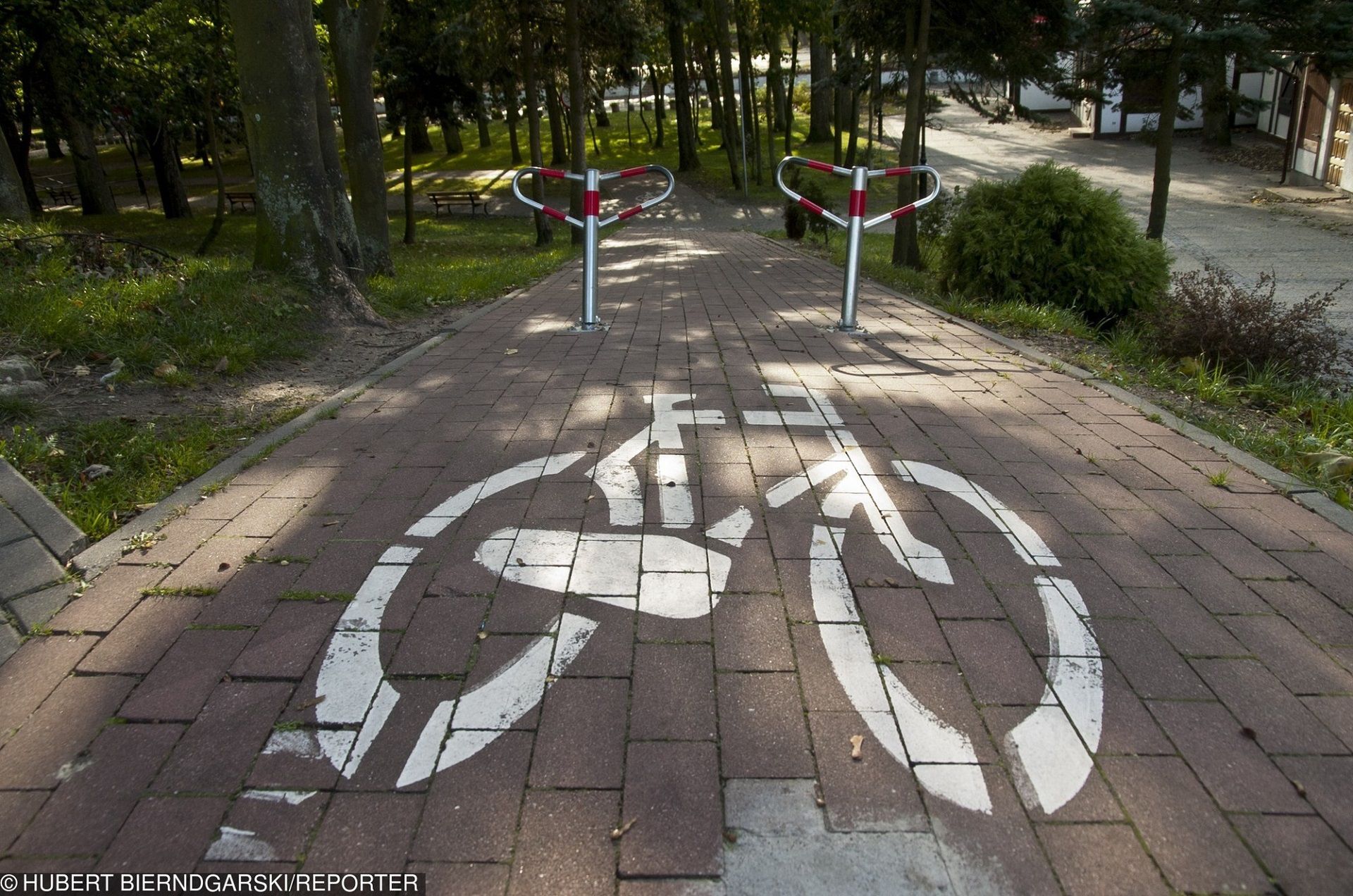 (fot. Hubert Bierndgarski/Reporter)