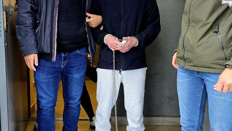 Fot. Licencjodawca
