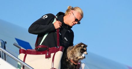 Haaland wrócił z mundialu z wypchanym szopem praczem. Tyle kosztował