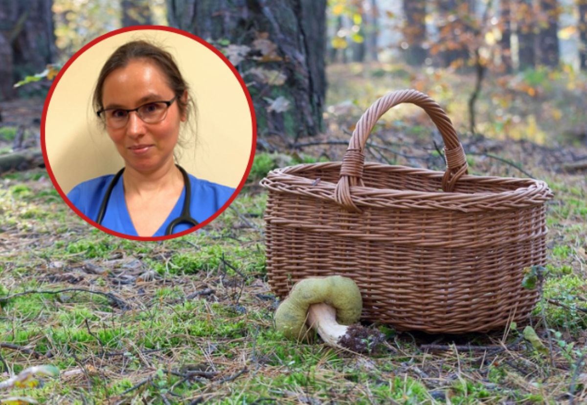 Toksykolog ostrzega grzybiarzy. "Trzeba krytycznie ocenić"
