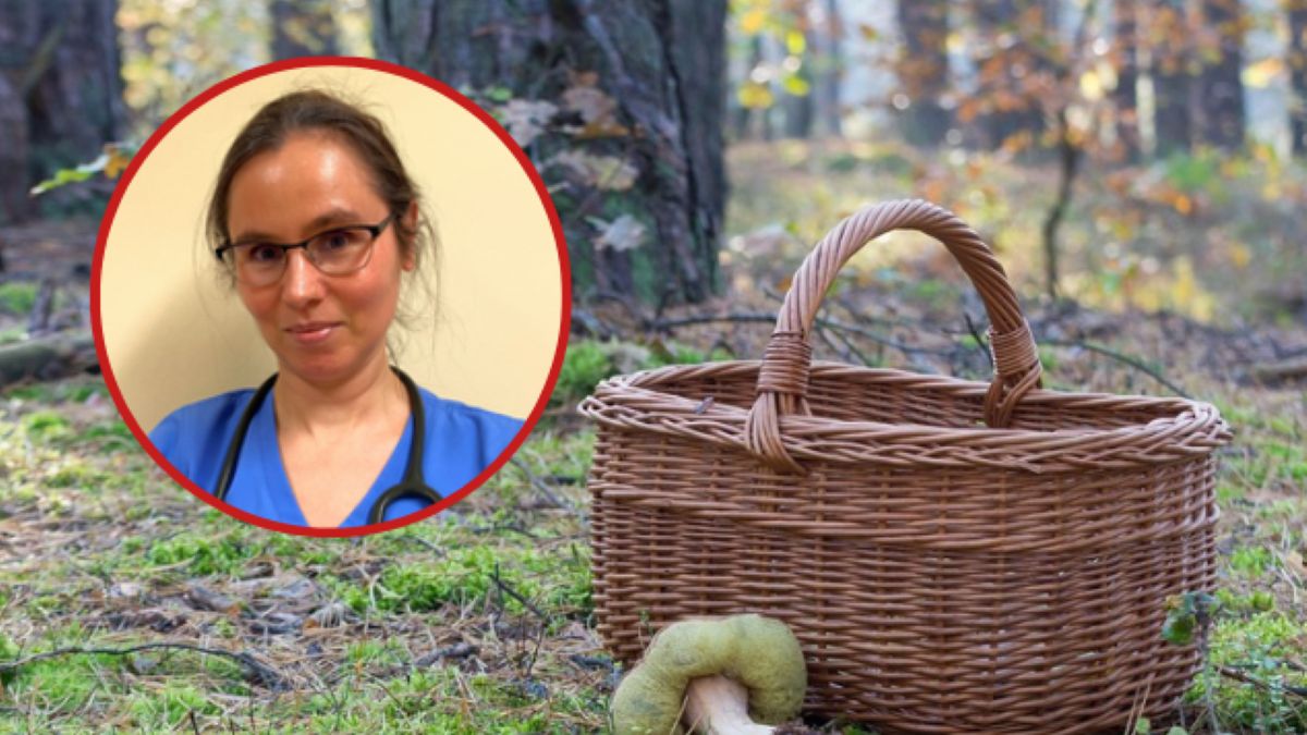 Prof. Natalia Pawlas zachęca do ostrożności  podczas grzybobrań