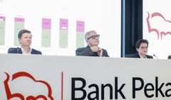 Żubr do odstrzału? Eksperci ostrzegają przed rebrandingiem Banku Pekao