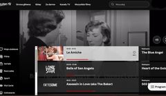 Bezpłatne kanały w streamingu przyniosą w tym roku 6,3 mld dol. przychodów