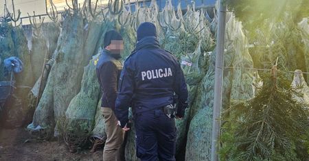 Sprzedajesz choinki? Spodziewaj się kontroli!
