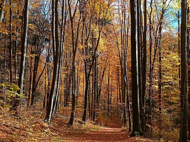 Ojcowski Park Narodowy