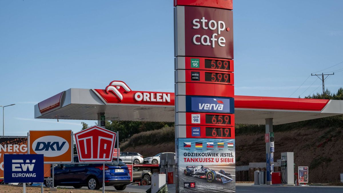 (zdjęcie ilustracyjne)