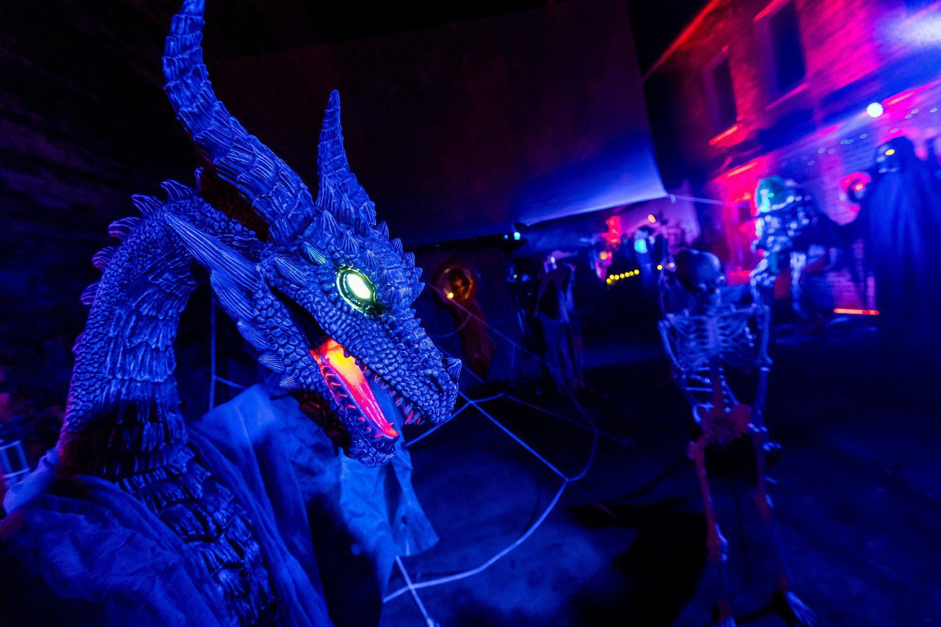 Kamienica Grozy w Bydgoszczy