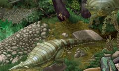 Niezwykłe odkrycie. Znaleźli szczątki nieznanego gada w Kocurach