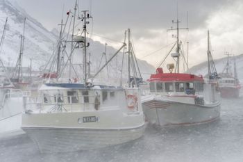 Czerwony alert w Norwegii. Służby apelują o pozostanie w domach.