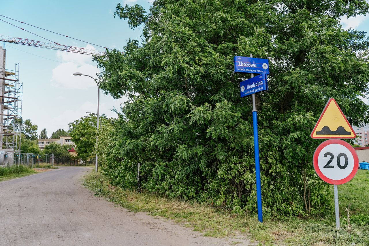 Przebudowa ul. Boryszewskiej i Urodzajnej