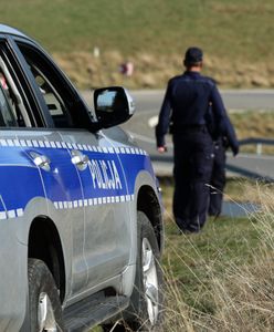 Coś spadło i eksplodowało na polu kukurydzy na Lubelszczyźnie