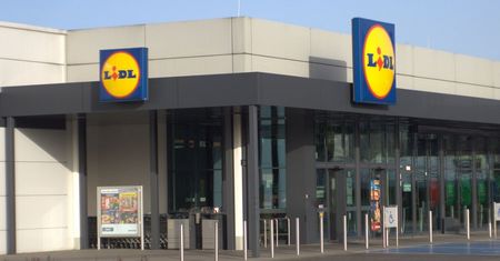 Rarytas z lasu w Lidlu. "Supercena" 24,99 zł. To ostatni dzień