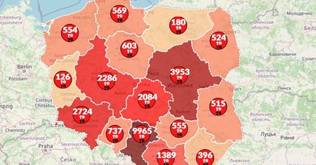 Koronawirus w Polsce. Mapa pokazuje duży wzrost zakażeń i kolejne ofiary śmiertelne