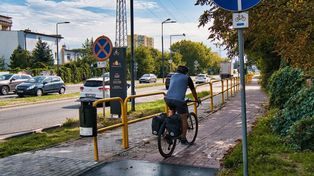 Policzą rowerzystów, zbadają drzewo. Telegram z Bydgoszczy [25.8-1.9]