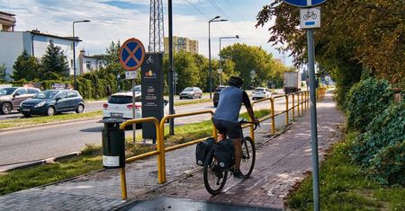 Policzą rowerzystów, zbadają drzewo. Telegram z Bydgoszczy [25.8-1.9]