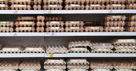 Czy Polsce grozi niedobór jaj? Wykryto kolejne ognisko groźnej choroby