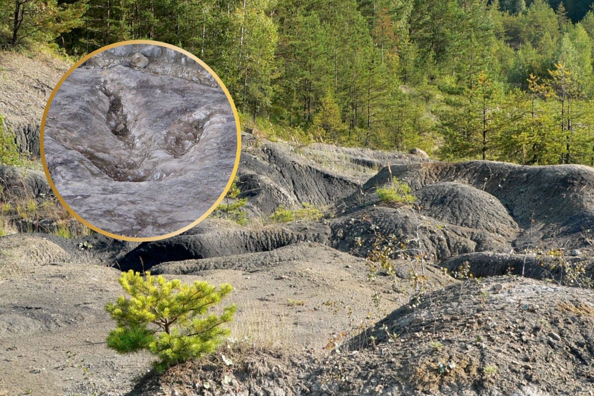 W tym miejscu chodziły prawdziwe dinozaury. Możesz zobaczyć ich tropy