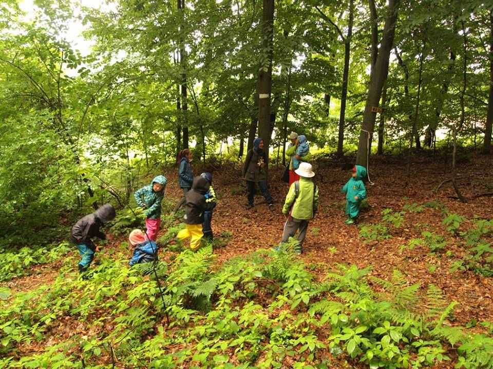 Przedszkole leśne Dzika Osada