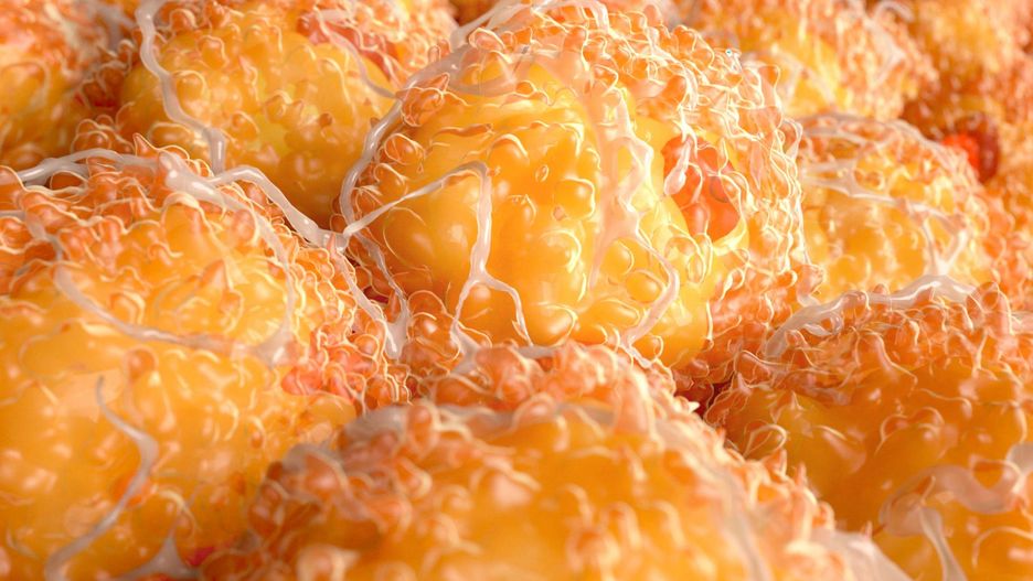 Wysoki poziom trójglicerydów jest groźny dla zdrowia [123rf.com]