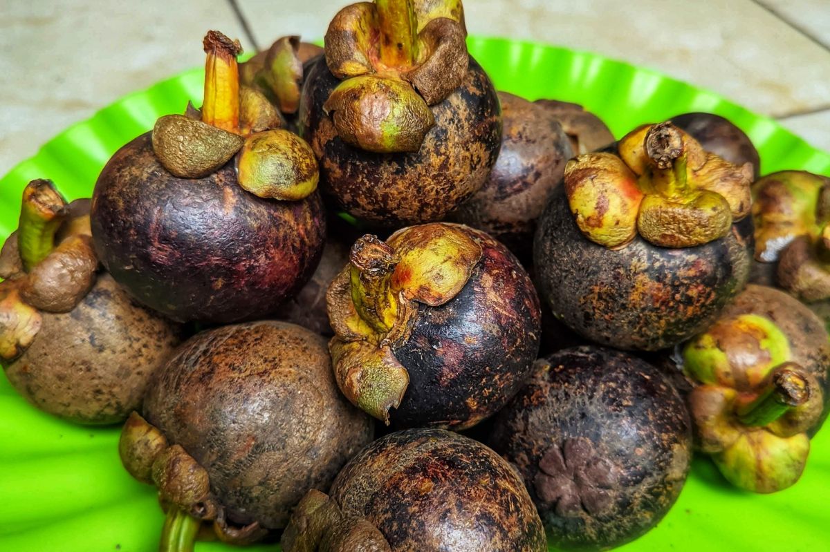 Mangosteen: The exotic fruit taking British stores by storm