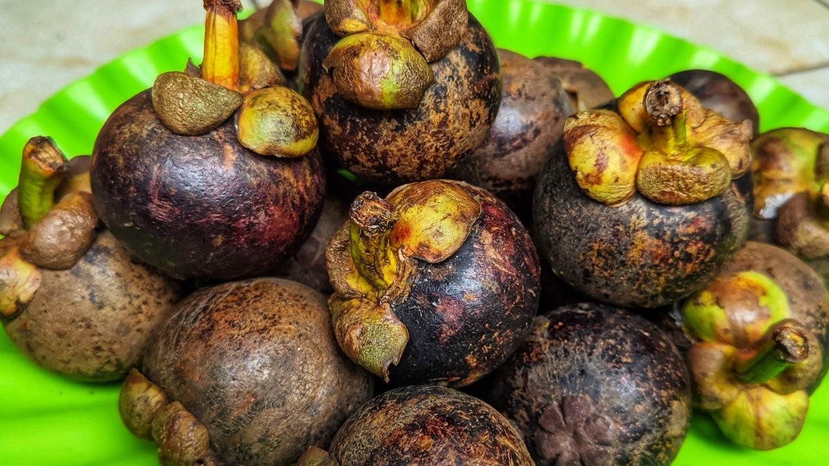 Mangostan - Pyszności