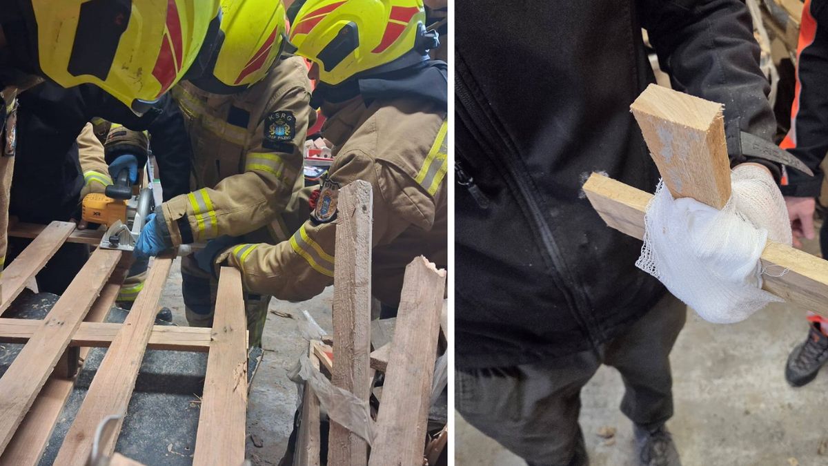 Dłoń przybita do palety