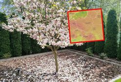 Zmiana w pogodzie. Odczujemy już w połowie tygodnia