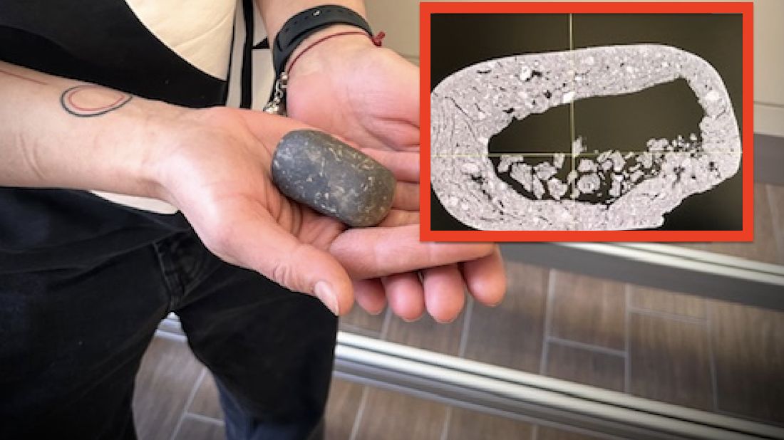 Naukowcy zbadali tomografem grzechotkę sprzed 2 tysięcy