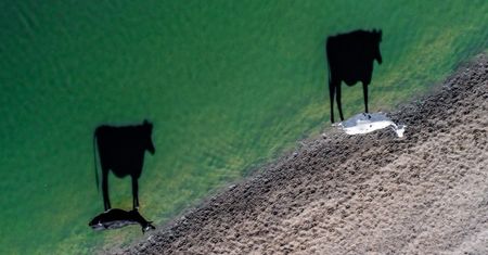 Dronestagram 2017, czyli zdjęcia z bardzo wysokiego poziomu