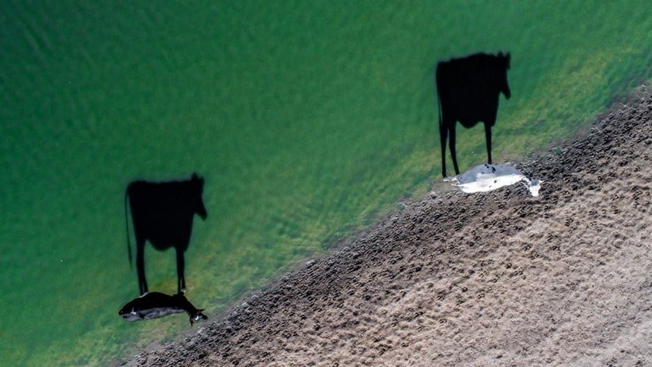 Dronestagram 2017, czyli zdjęcia z bardzo wysokiego poziomu 1