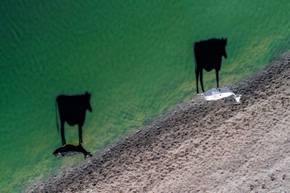Dronestagram 2017, czyli zdjęcia z bardzo wysokiego poziomu 1
