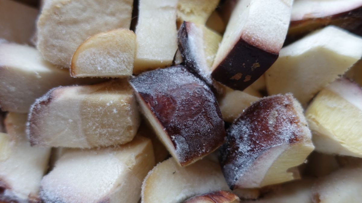 Jakie grzyby można mrozić? 