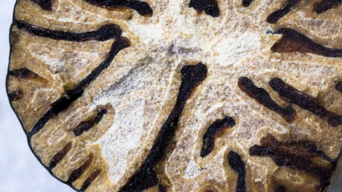 Dlaczego warto włączyć do naszej diety gałkę muszkatałową?