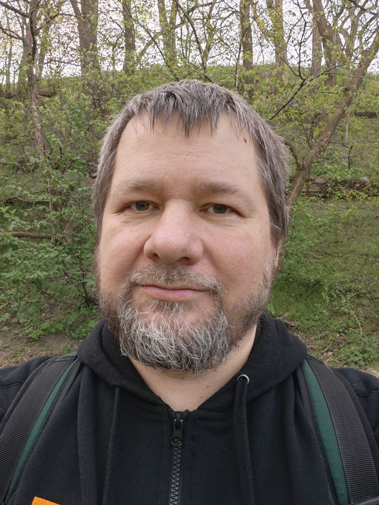 Obraz