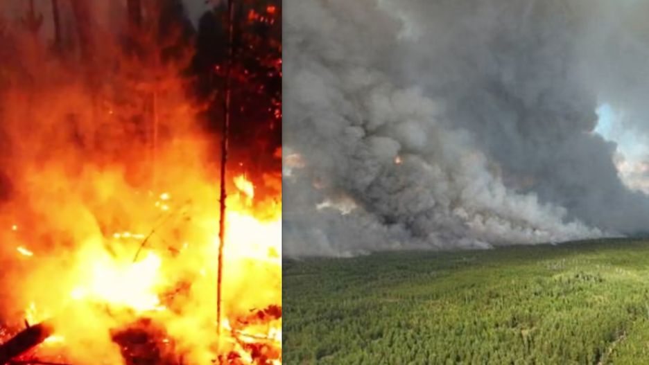 Rosja. Pożary lasów pod Riazaniem i Pskowem są najbardziej rozległe