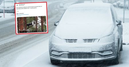 Zwierzęta wysyłają znaki. Zima nadchodzi