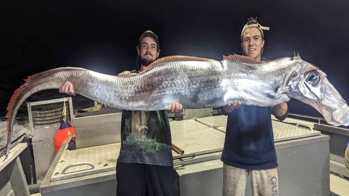 Złowili "rybę zagłady"