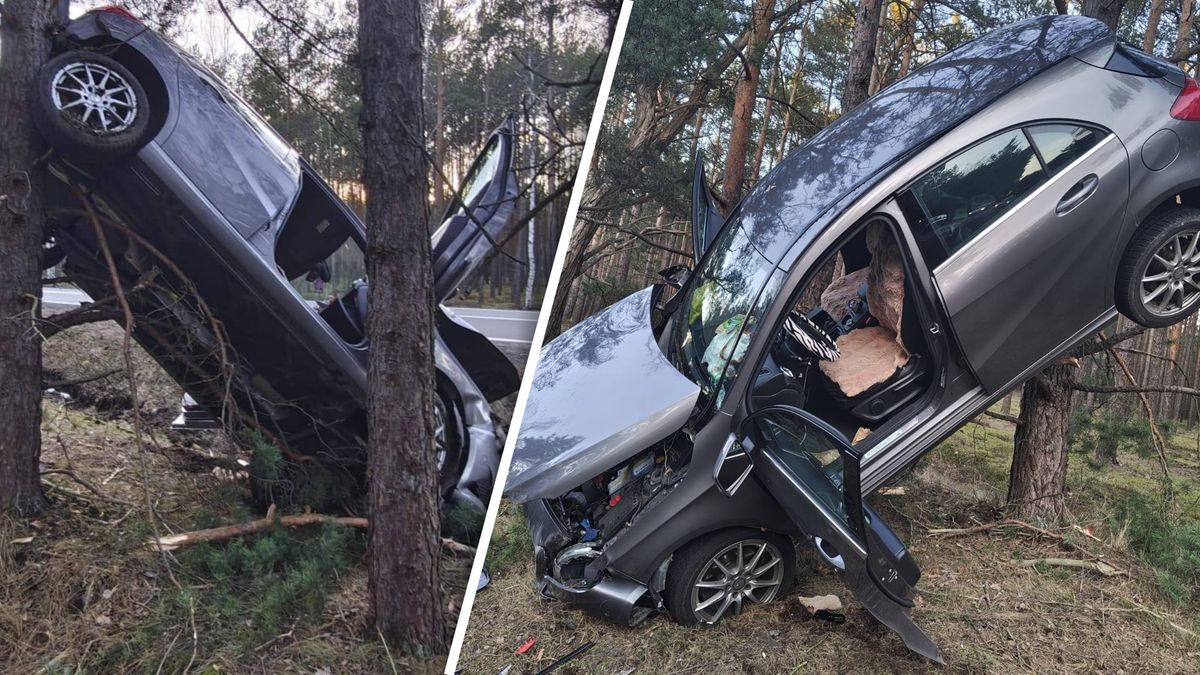 Samochód zawisł na drzewie.