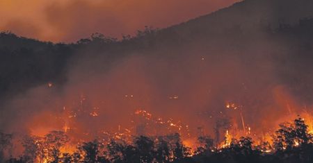 "Sorry, nie taki mamy klimat". Apel ponad 100 naukowców na rzecz ochrony klimatu