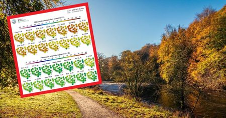 Pogoda na pierwszy weekend września. Czeka nas spadek temperatury