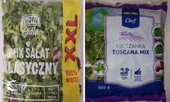 Tej sałaty nie jedz. Można ciężko zachorować