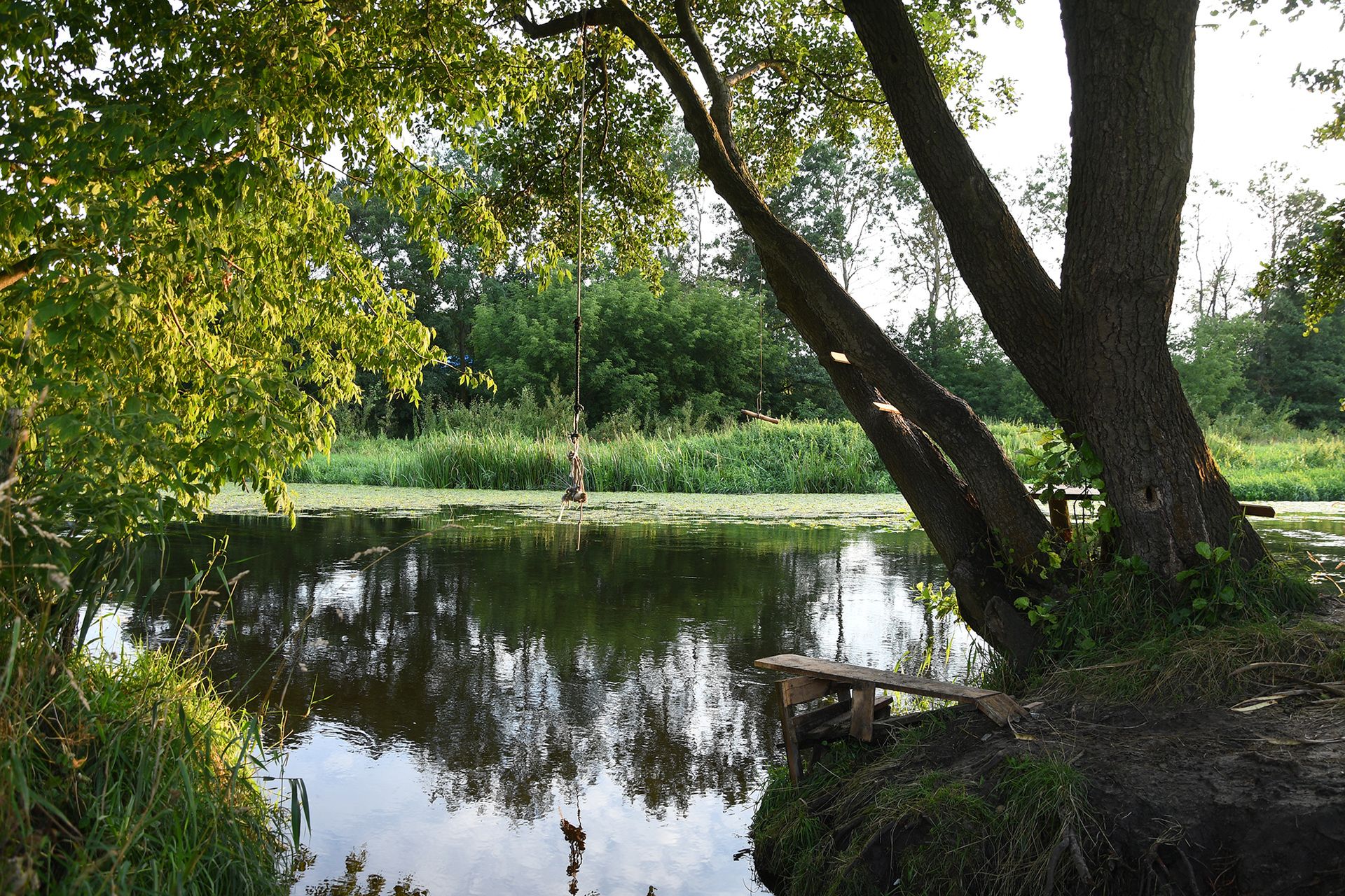 Nikon D7500 - przepustka do poważnej fotografii czy drogi gadżet? [test] 105