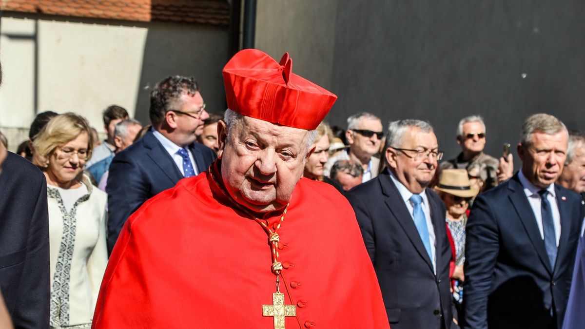 Kard. Stanisław Dziwisz