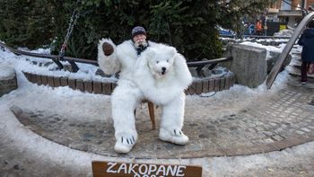 Misiek z Krupówek mówi, jak długo potrwa zima. "Warszawioki nigdy śniega nie mieli"