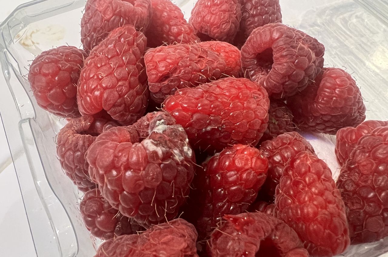Vorsicht bei Schimmel: Obst und Gemüse besser entsorgen