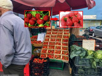 Ewolucja polskiej truskawki. Słodka odmiana przegrała z prawami rynku