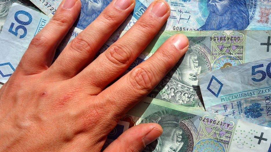 Man`s hand catching money
Man`s hand catching polish zloty currency banknotes, financial or business concept
Piotrekswat